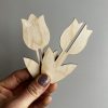 Kis tulipán ajándék