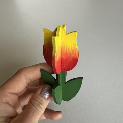Kis tulipán ajándék